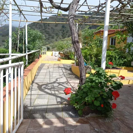 Apartment Orange House Vallehermoso